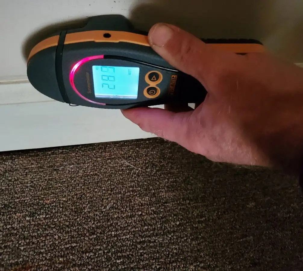 Moisture detection at baseboard during Mold Inspection & Testing in Roswell